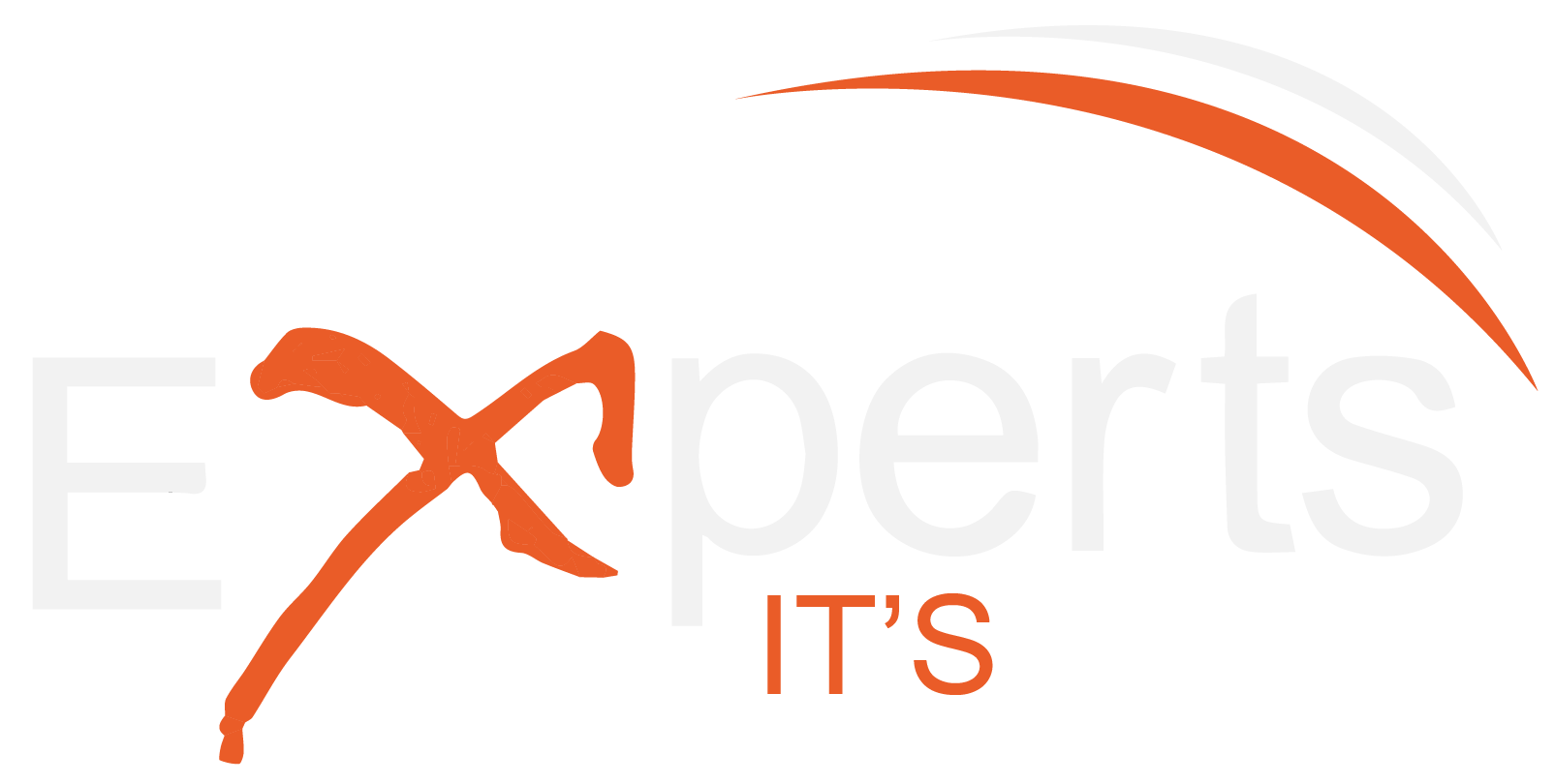 Experts IT Solution logo